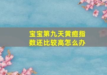 宝宝第九天黄疸指数还比较高怎么办