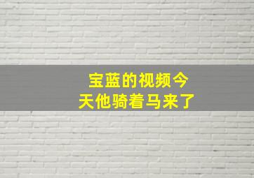 宝蓝的视频今天他骑着马来了