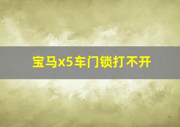 宝马x5车门锁打不开