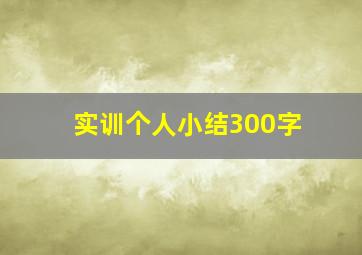 实训个人小结300字