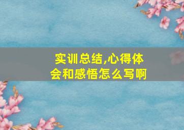 实训总结,心得体会和感悟怎么写啊