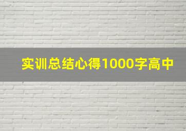 实训总结心得1000字高中