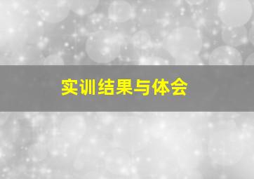 实训结果与体会