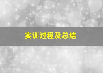 实训过程及总结