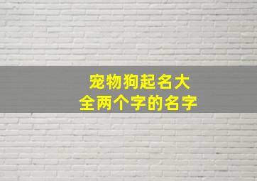 宠物狗起名大全两个字的名字