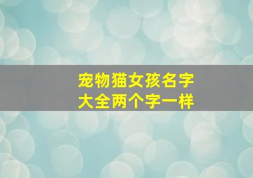 宠物猫女孩名字大全两个字一样