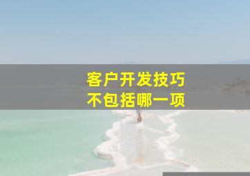 客户开发技巧不包括哪一项