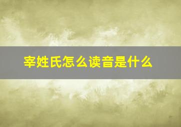 宰姓氏怎么读音是什么