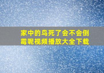 家中的鸟死了会不会倒霉呢视频播放大全下载