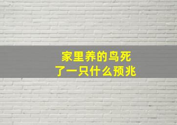 家里养的鸟死了一只什么预兆