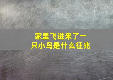 家里飞进来了一只小鸟是什么征兆