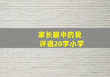 家长眼中的我评语20字小学