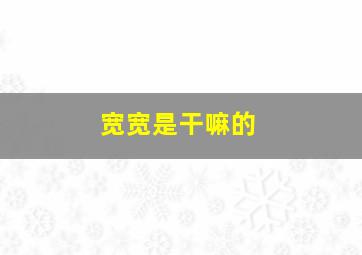 宽宽是干嘛的