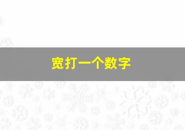 宽打一个数字