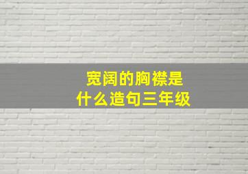 宽阔的胸襟是什么造句三年级