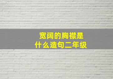 宽阔的胸襟是什么造句二年级