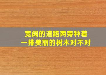 宽阔的道路两旁种着一排美丽的树木对不对