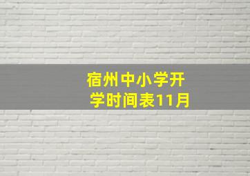 宿州中小学开学时间表11月