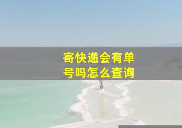 寄快递会有单号吗怎么查询