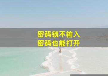 密码锁不输入密码也能打开