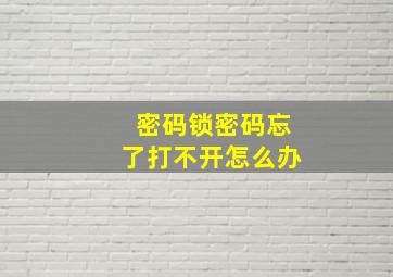 密码锁密码忘了打不开怎么办