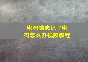 密码锁忘记了密码怎么办视频教程