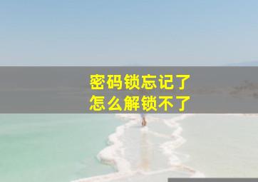 密码锁忘记了怎么解锁不了