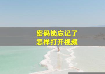 密码锁忘记了怎样打开视频