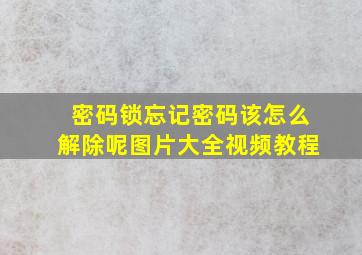 密码锁忘记密码该怎么解除呢图片大全视频教程