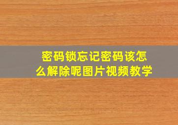 密码锁忘记密码该怎么解除呢图片视频教学