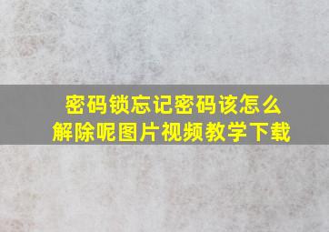 密码锁忘记密码该怎么解除呢图片视频教学下载