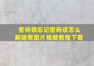 密码锁忘记密码该怎么解除呢图片视频教程下载