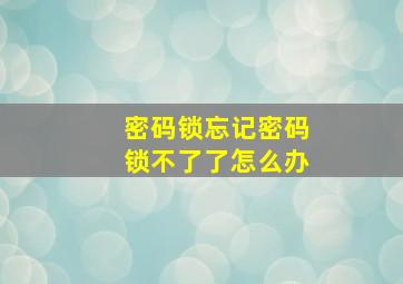 密码锁忘记密码锁不了了怎么办