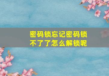 密码锁忘记密码锁不了了怎么解锁呢