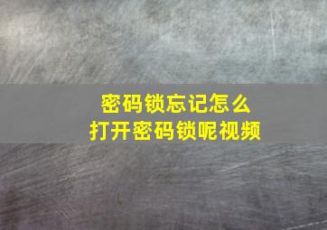 密码锁忘记怎么打开密码锁呢视频