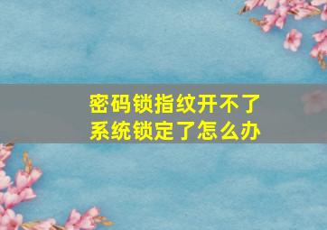 密码锁指纹开不了系统锁定了怎么办