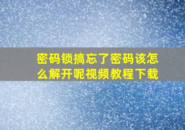 密码锁搞忘了密码该怎么解开呢视频教程下载