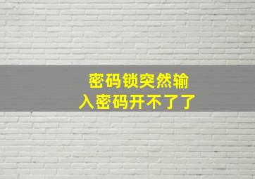 密码锁突然输入密码开不了了