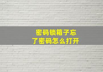 密码锁箱子忘了密码怎么打开