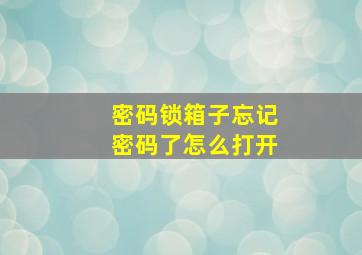 密码锁箱子忘记密码了怎么打开