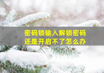 密码锁输入解锁密码还是开启不了怎么办