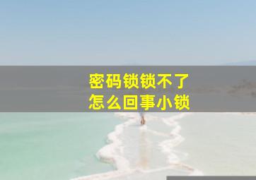 密码锁锁不了怎么回事小锁