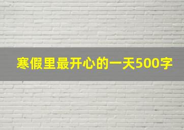 寒假里最开心的一天500字