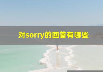 对sorry的回答有哪些