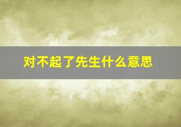 对不起了先生什么意思