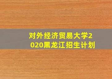 对外经济贸易大学2020黑龙江招生计划