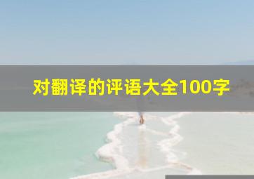 对翻译的评语大全100字