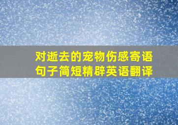 对逝去的宠物伤感寄语句子简短精辟英语翻译