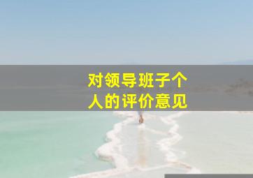 对领导班子个人的评价意见