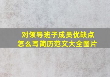 对领导班子成员优缺点怎么写简历范文大全图片